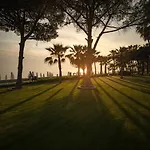 Acanthus Cennet Barut Collection Side