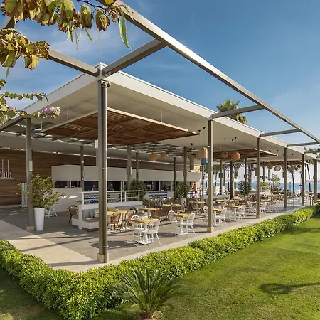 Acanthus Cennet Barut Collection סייד