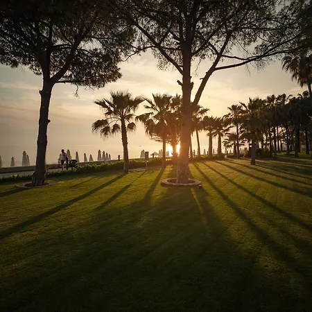 Acanthus Cennet Barut Collection סייד