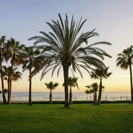 Acanthus Cennet Barut Collection 5*