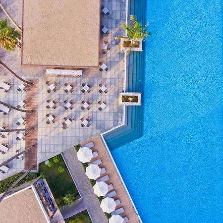 Acanthus Cennet Barut Collection