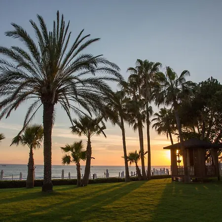 Acanthus Cennet Barut Collection 5*