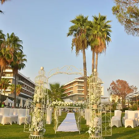 Acanthus Cennet Barut Collection